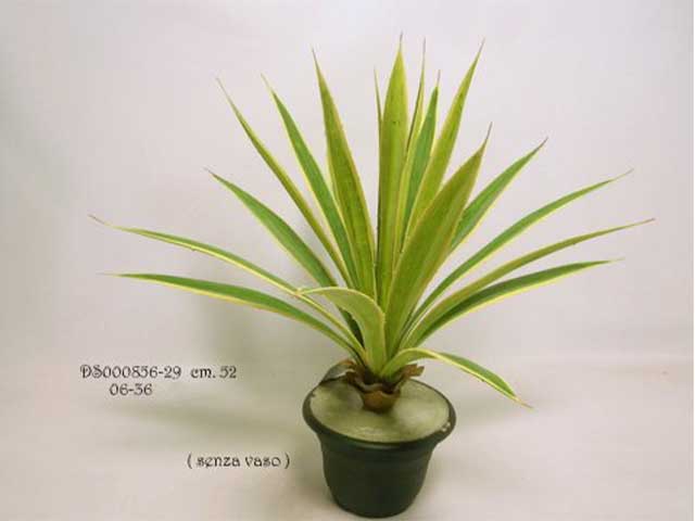 pianta agave 42cm ds000856