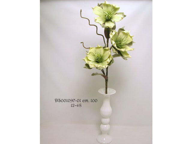 magnolia spruzzata verde ds001097