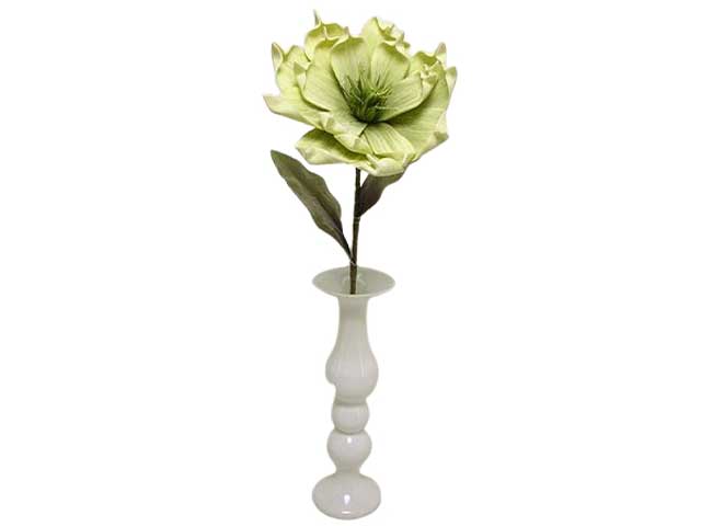 Fiore magnolia spruzzata verde ds001100