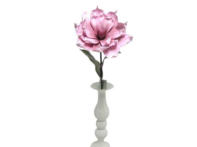 fiore phlogcantus spruzzata rosa ds001100