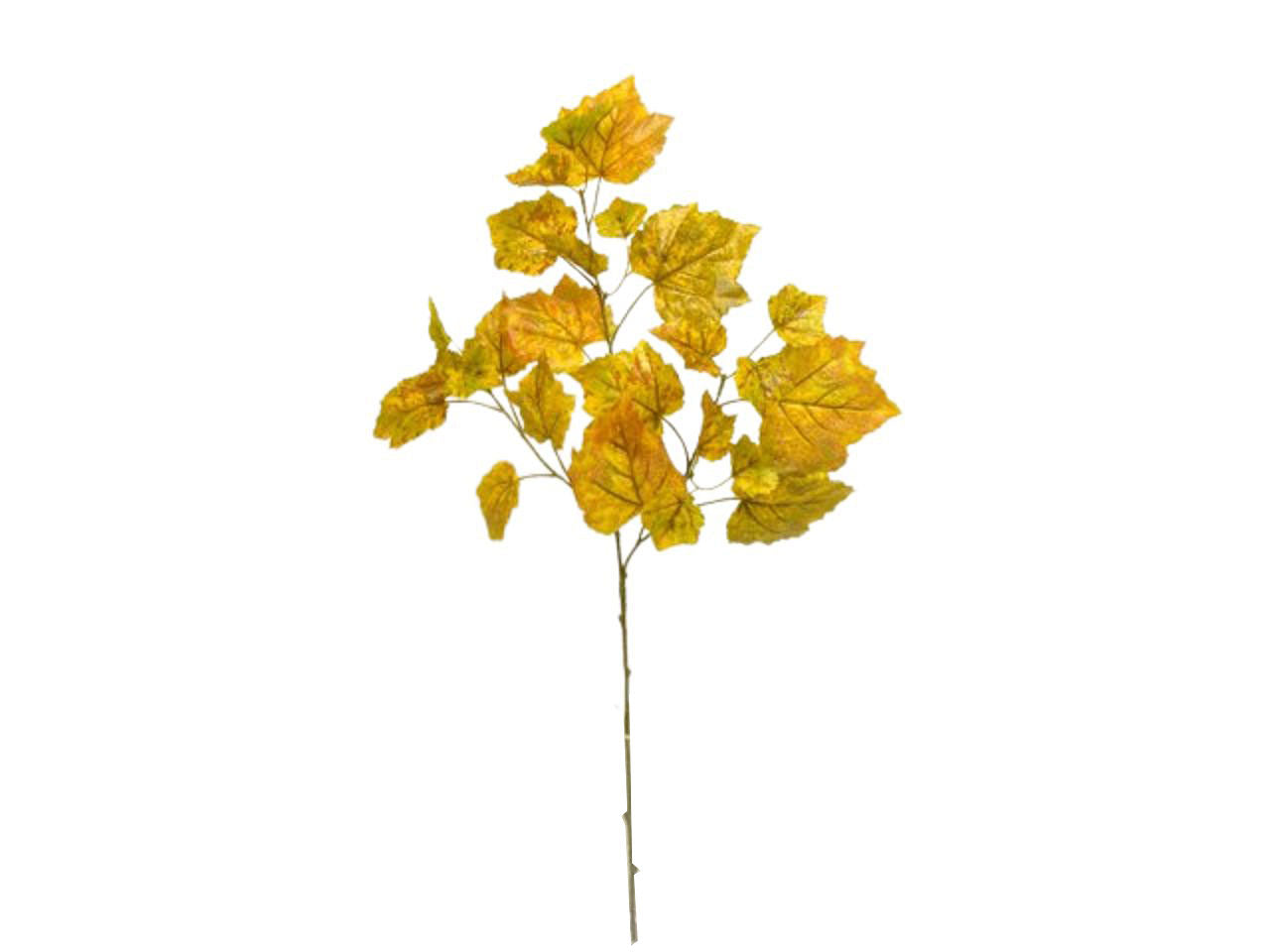 edera spruz.63,5cm x3 gialla da000114