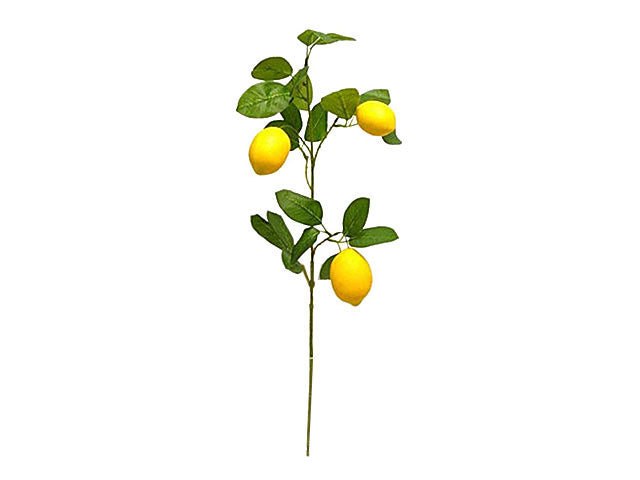 Ramo con 3 limoni ds001273
