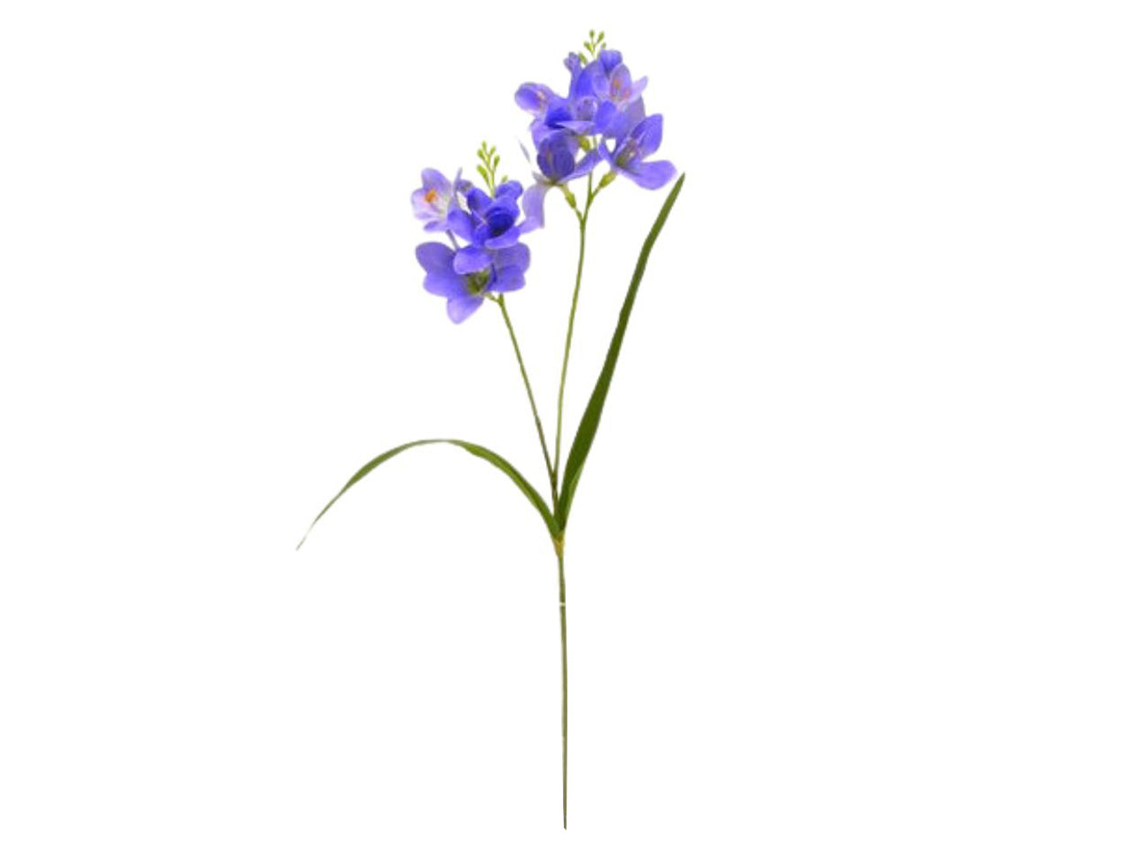 Fresia colore lavanda 65cm