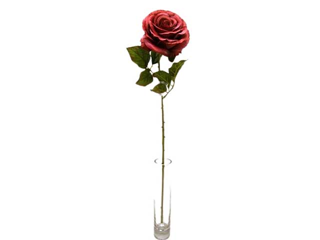 rosa singola spruzzata corallo da000193