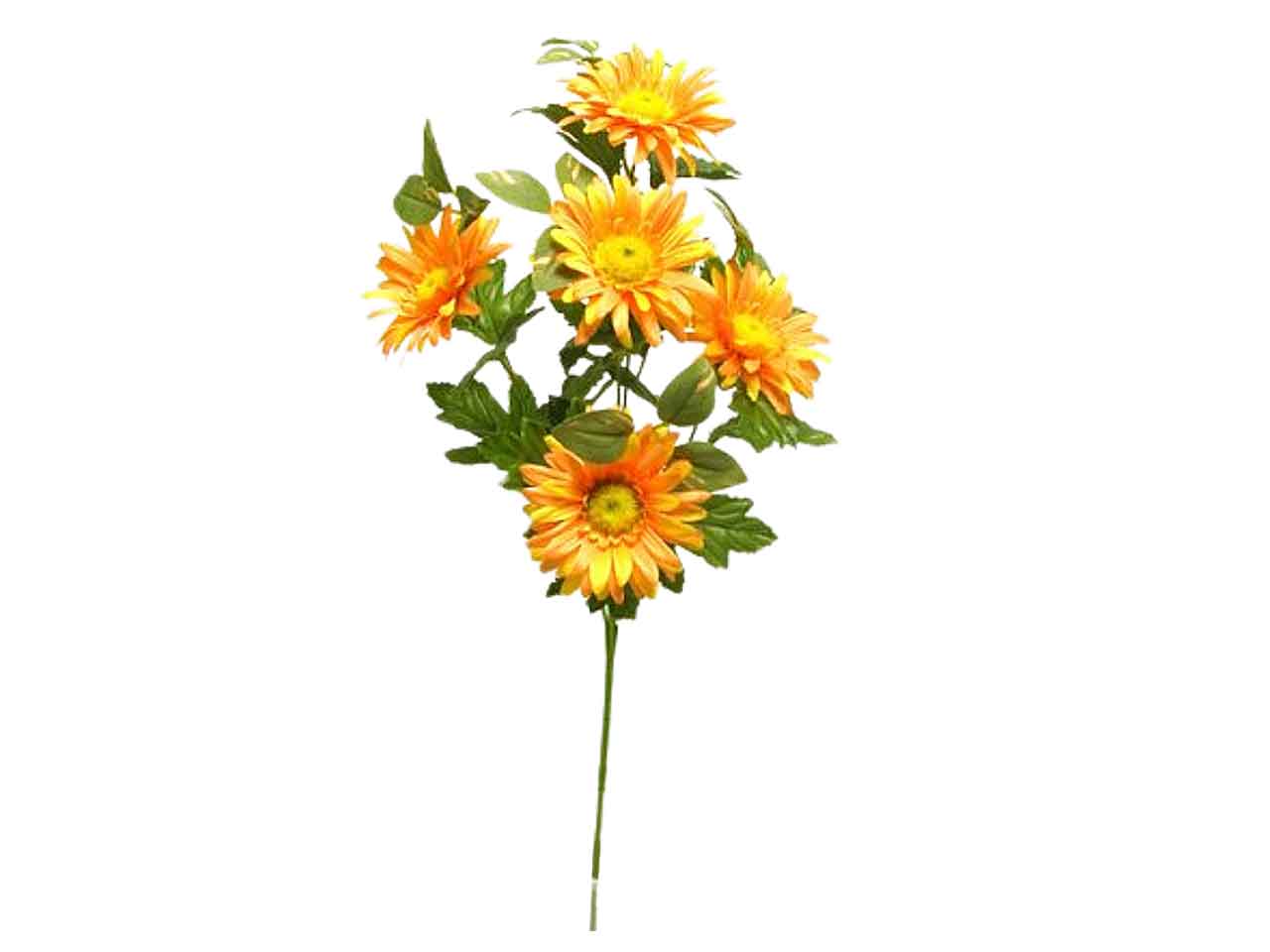 Margherita spruzzata arancio ds001764