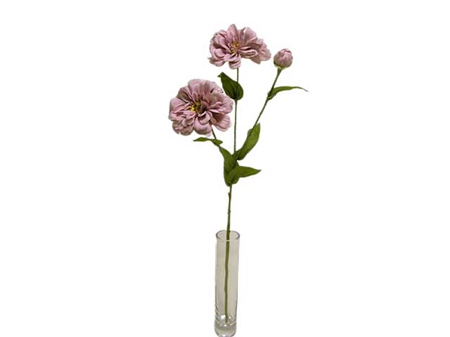 Zinnia spruzzata x3 66cm mauve da000239