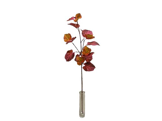 Tiglio spruzzata 87,5cm bordeaux da000243