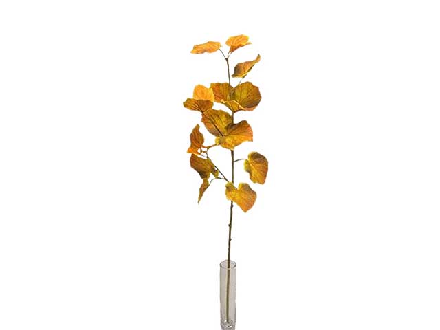 Tiglio spruzzata 87,5cm da000243