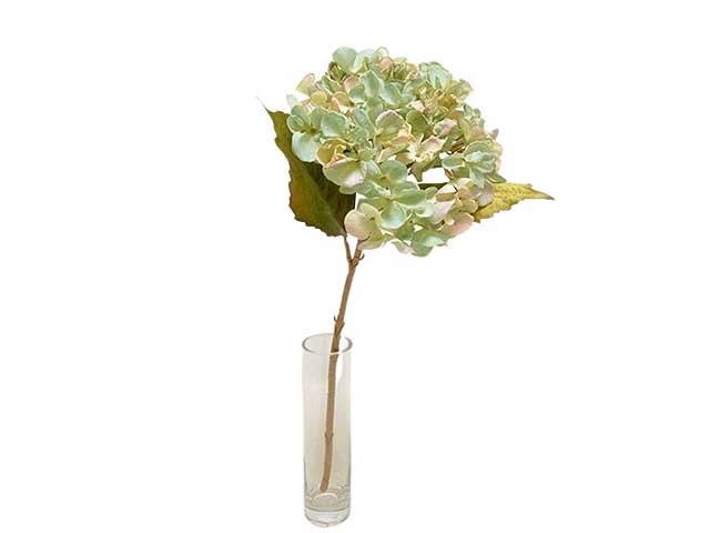 Ortensia 48cm blu da000267