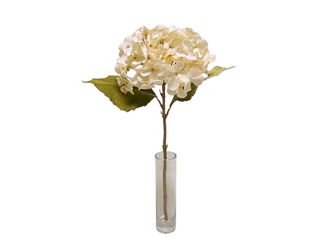 Ortensia 48cm avorio da000267