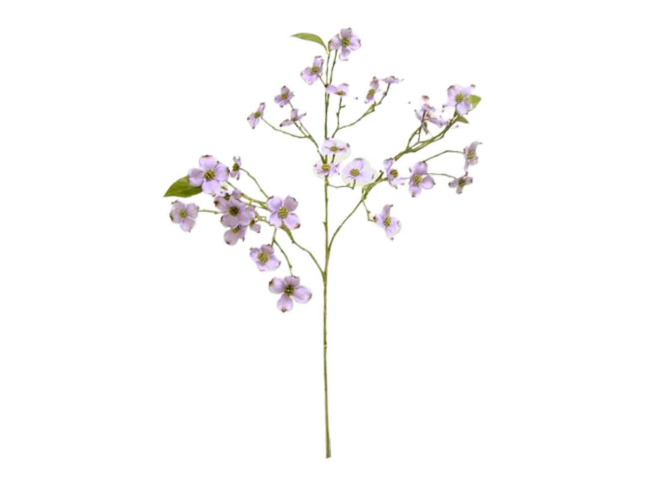 Corniolo x3 68,5cm lavanda ds002070