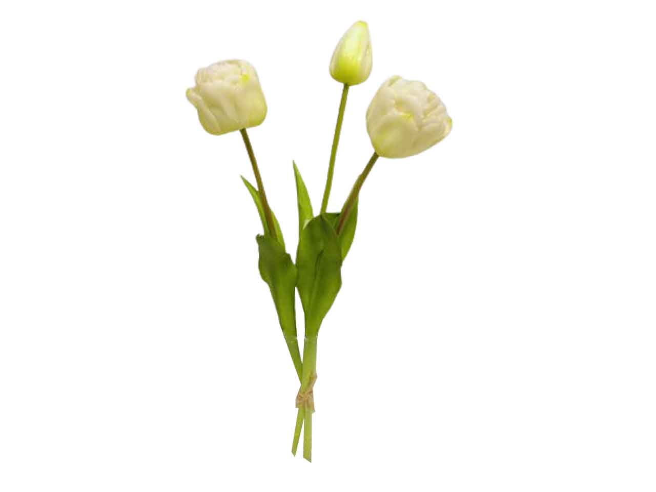 Mazzo tulipano x3 48cm crema ds001930