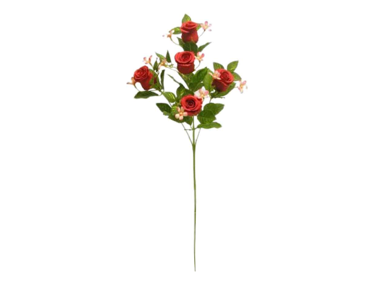 Mazzo rose rosso ds002036