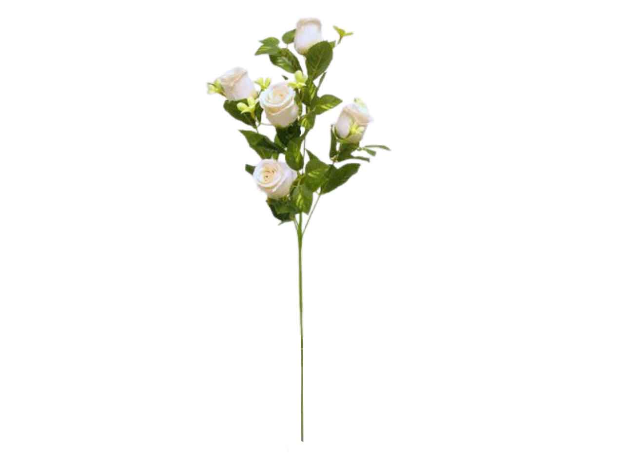 Mazzo rose crema ds002036