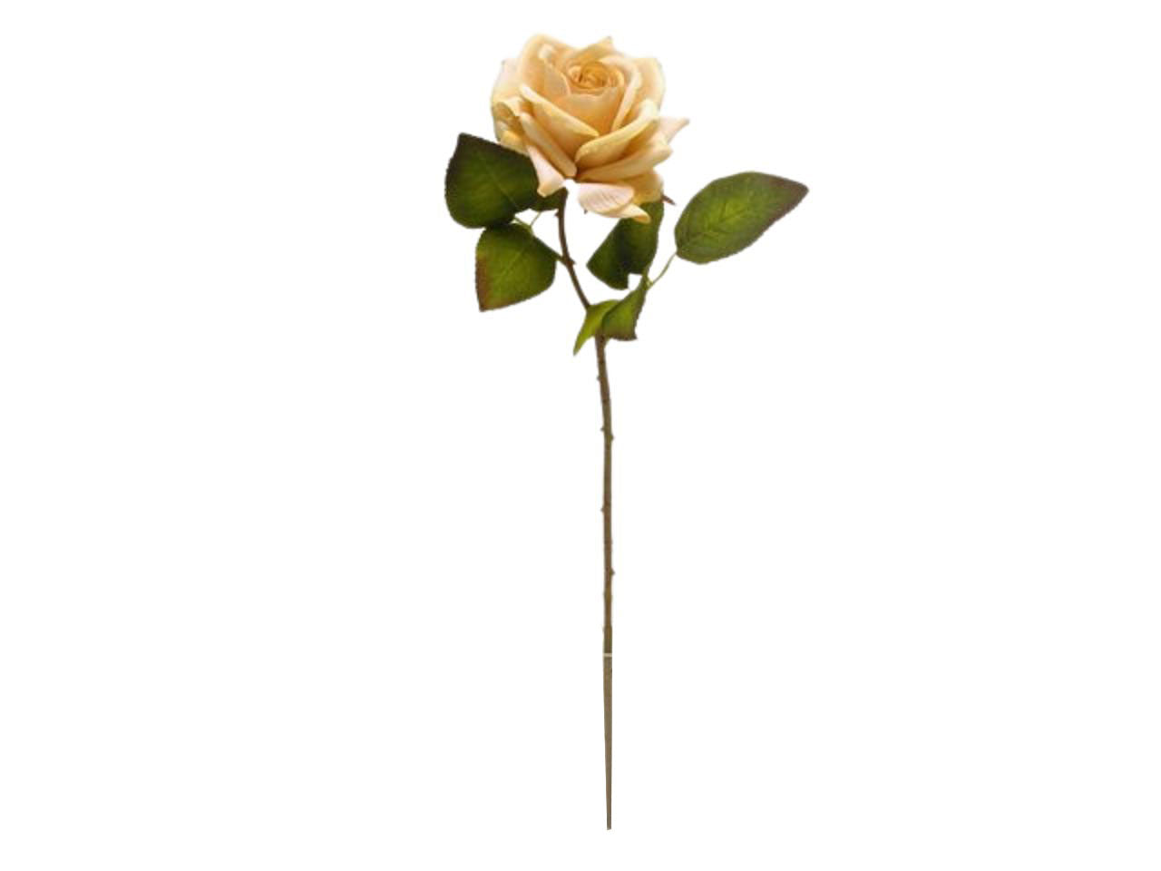 Rosa spruzzata 62cm avorio da000449