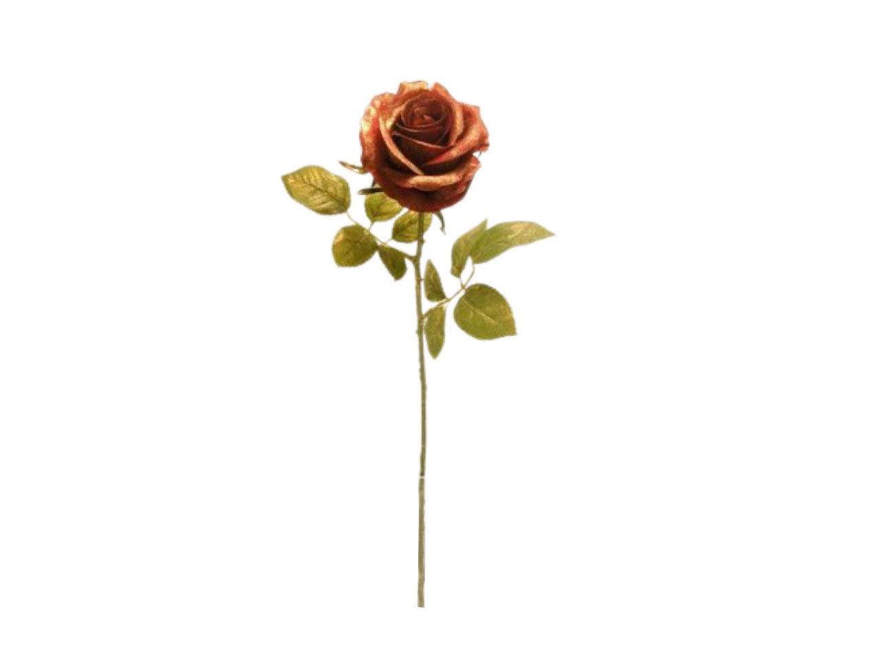 Rosa singola spruzzata 68cm rossa