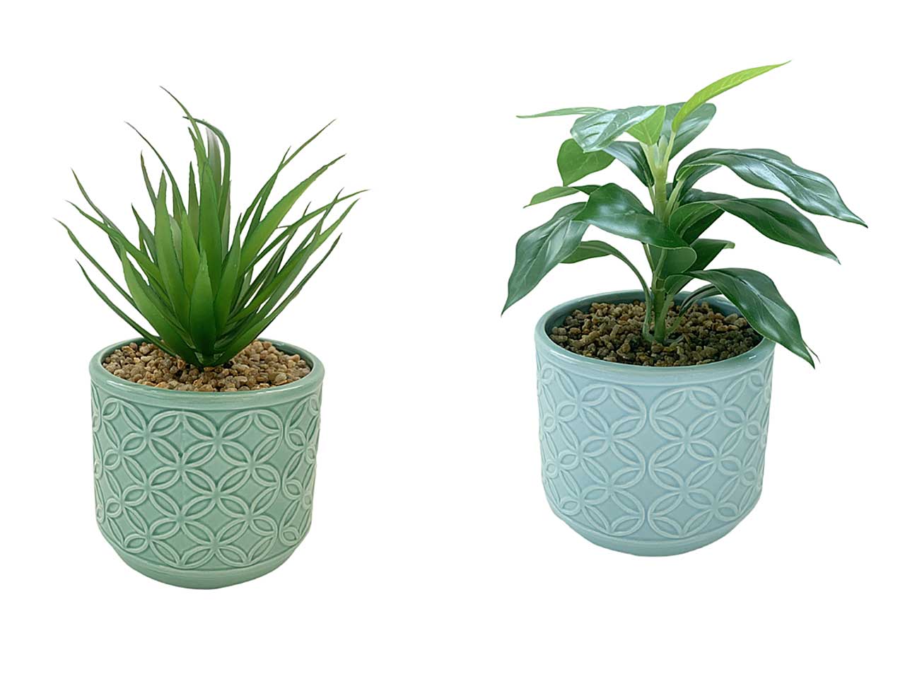 vaso ceramica c/pianta