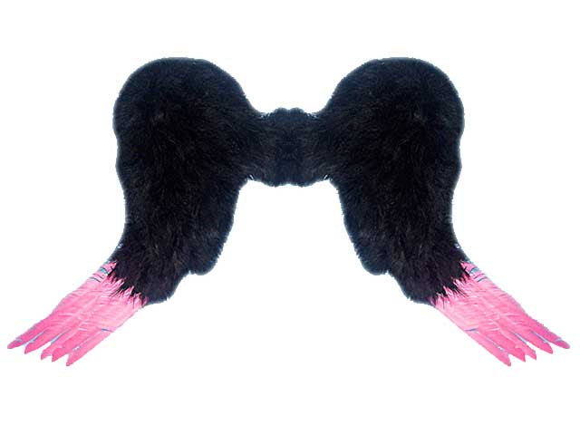 Ali piume nere & rosa 039103 $