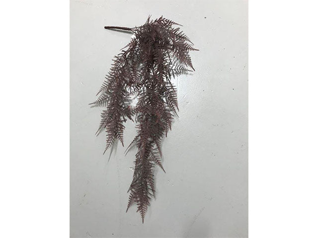 Asparagi mazzo 1548002622