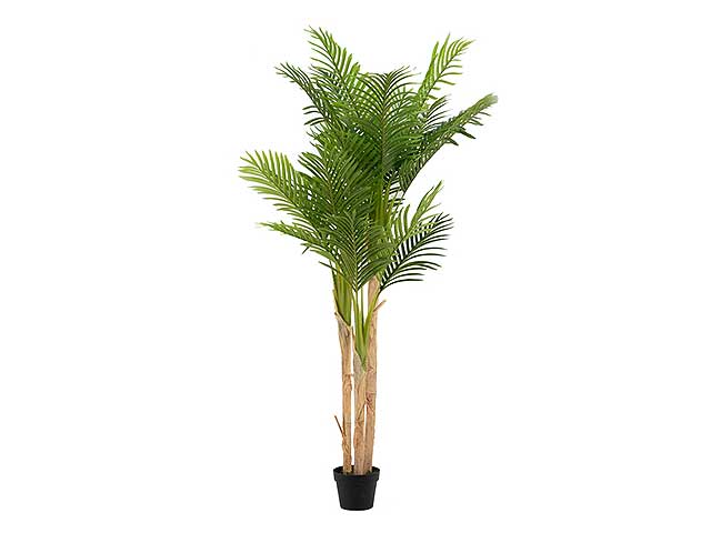 Pianta felci h.190cm pvc 801278