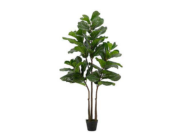 Pianta fico h.150cm pvc 801279