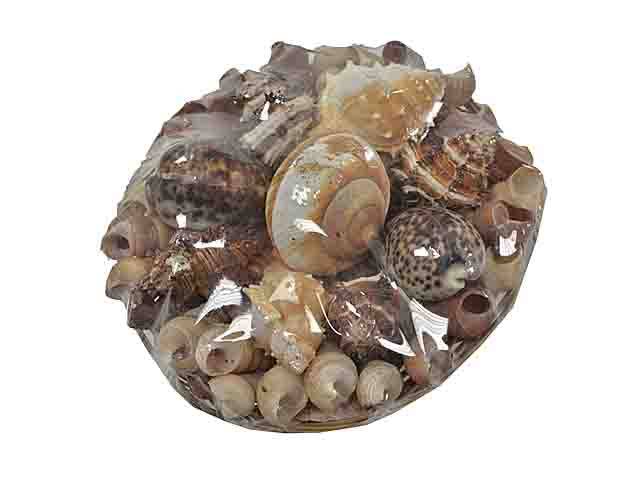 L.mare conchiglie 800gr 1854130000