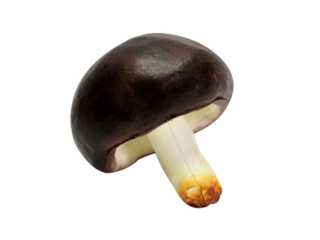Fungo 7x7h7 1863020000