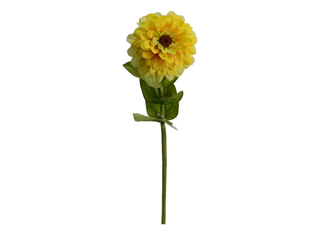 Zinnia giallo 64cm 3626110000