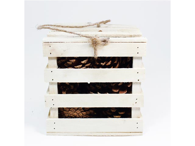 cassetta pigne 15x15x15cm 10740001