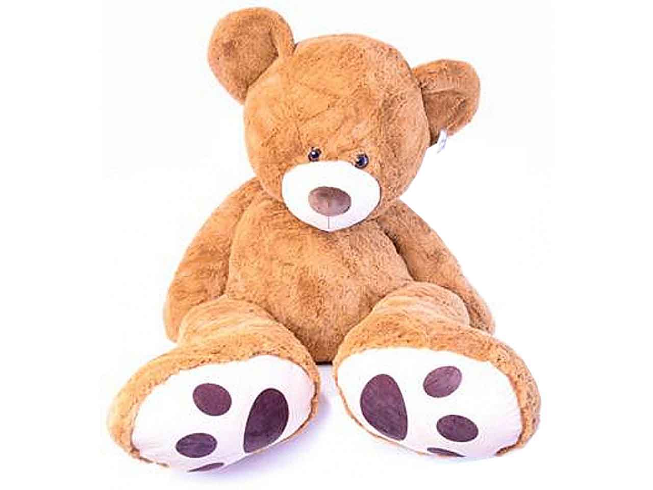 orso peluche marrone 200cm