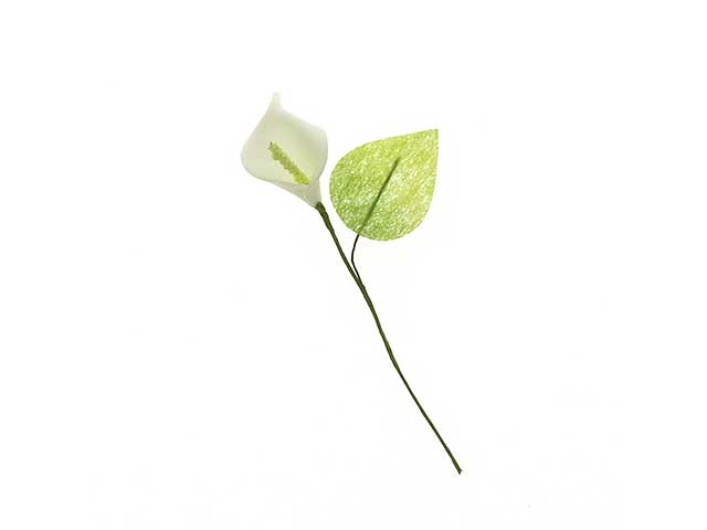 Calla media 48pz.b0673