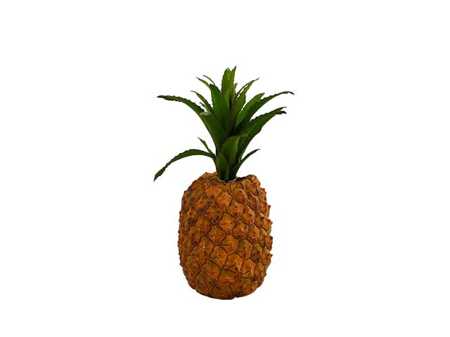 Ananas h24xd10 con foglie 250431,73