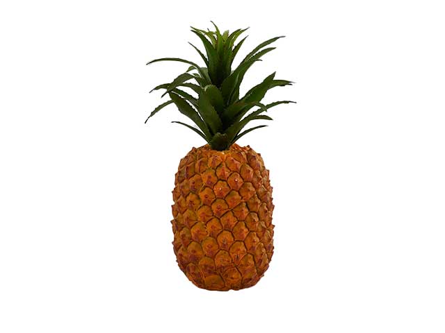Ananas h30xd11 con foglie 250430,73