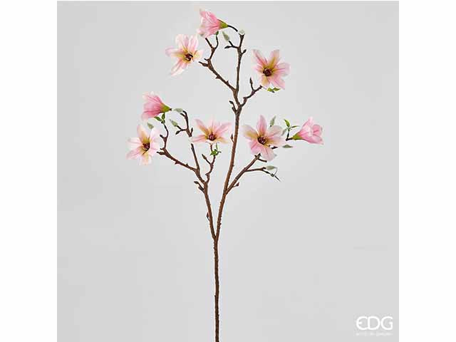 Magnolia ramo 8x90cm 214429