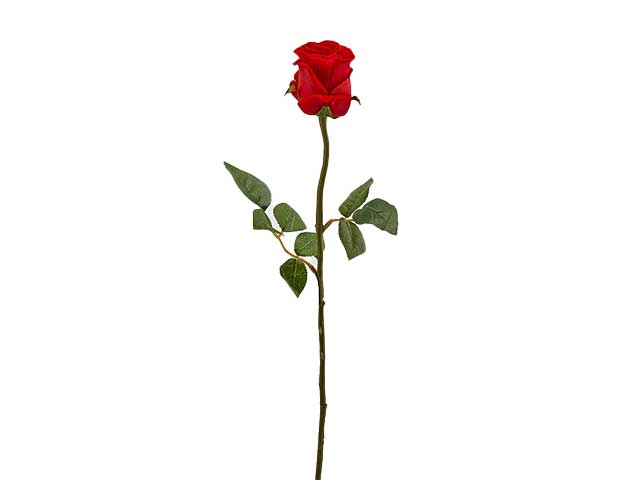 Rosa velvet 58cm 214618.40