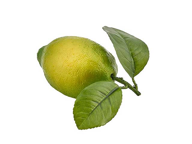 Lime con foglie 10cm 250572,73