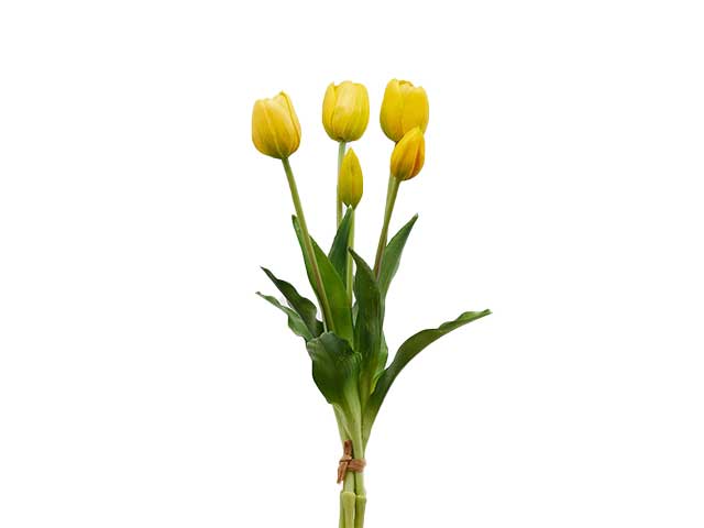 tulipano gomm.giallo h40cm 214959.20