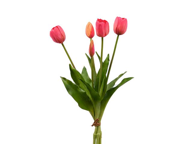 Tulipano gomm.fucsia h40cm 214959.57