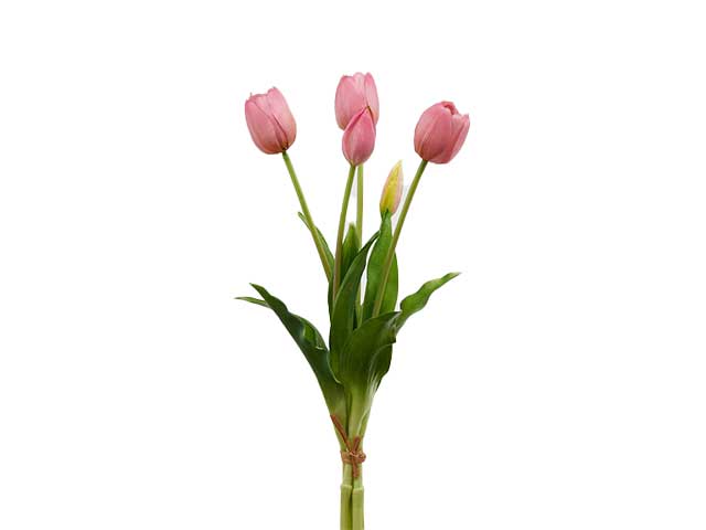 Mazzo tulipano 5 pezzi h40 mauve 214959,62