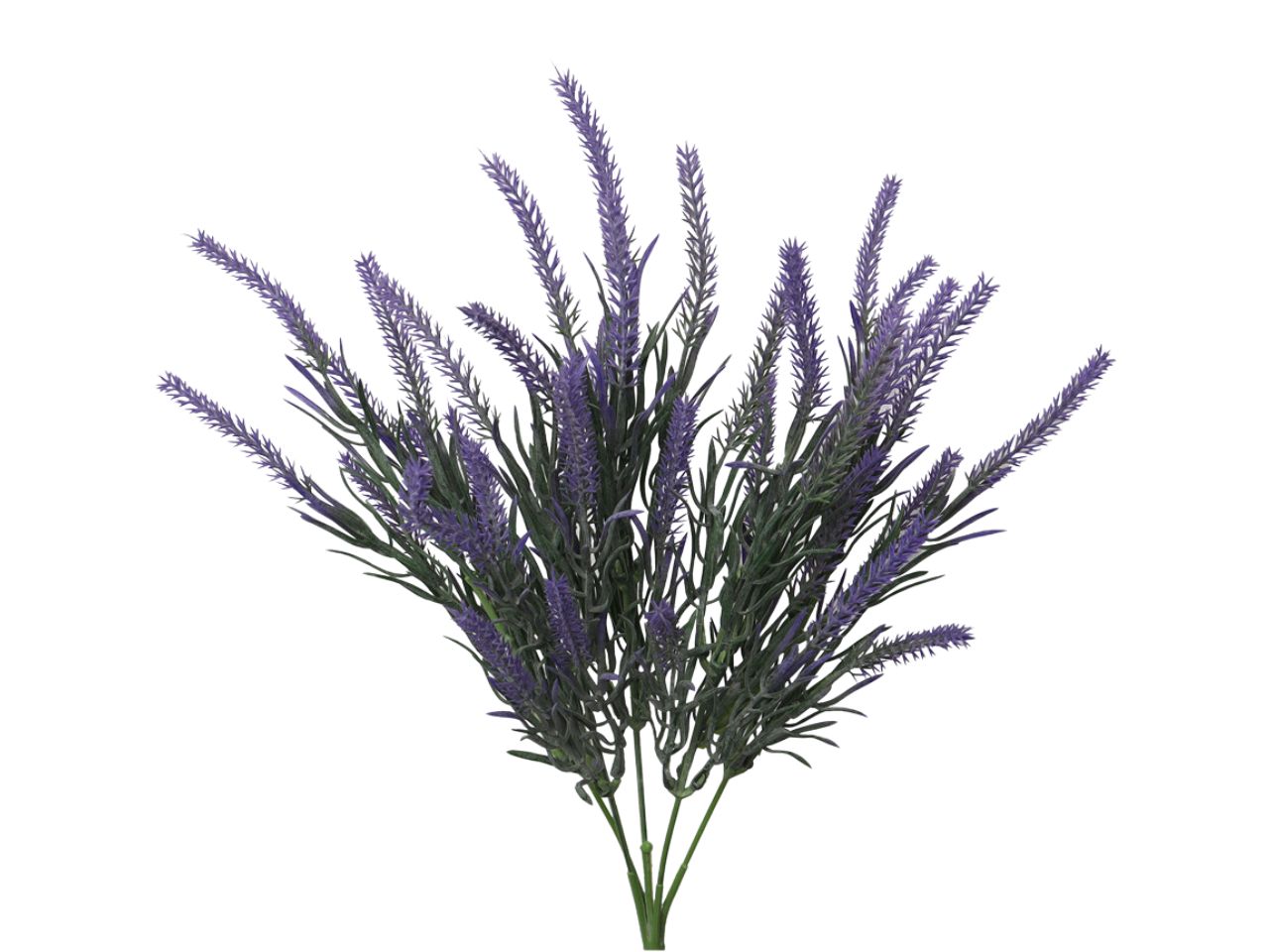 Mazzetto lavanda