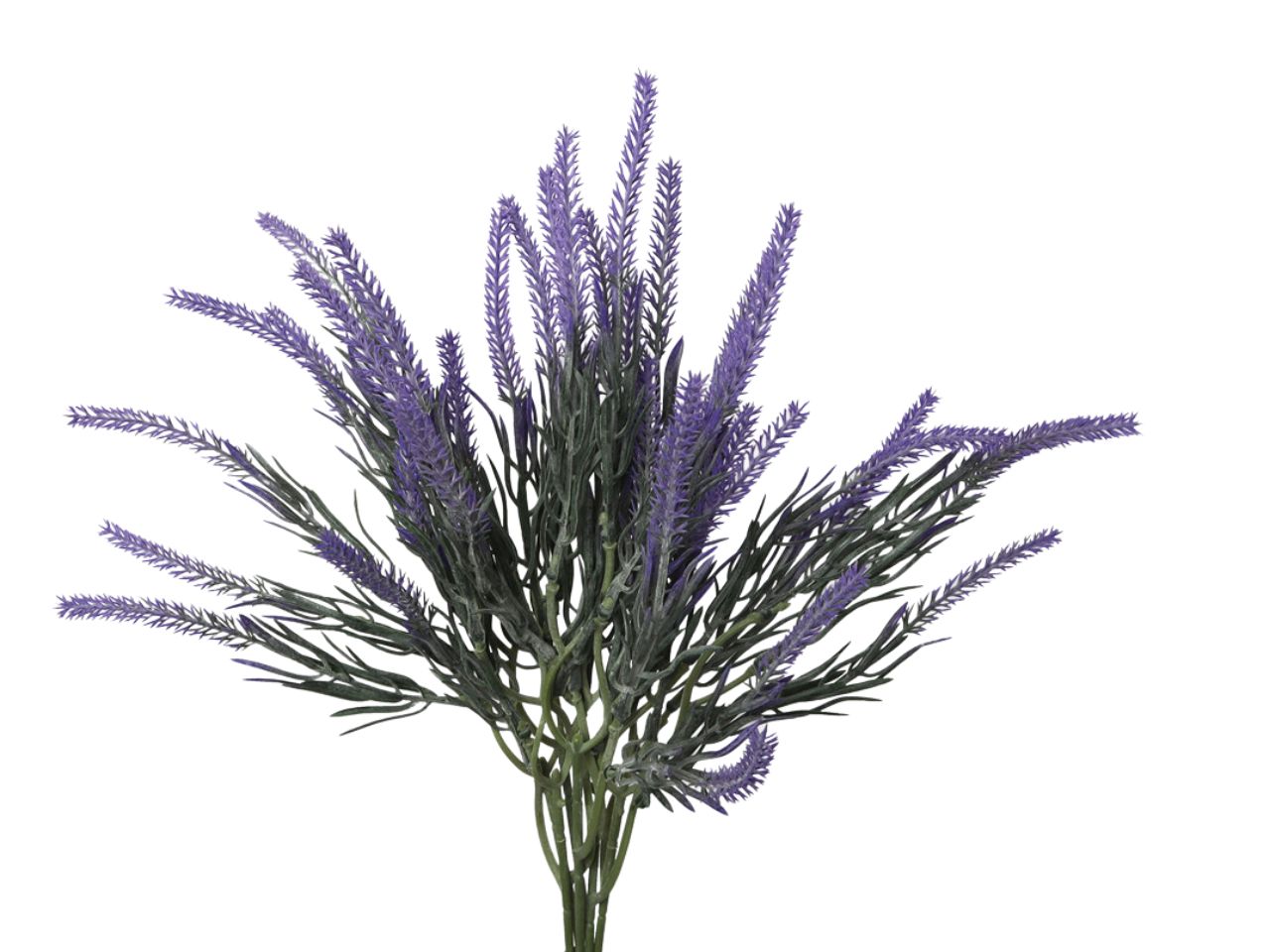 Mazzetto lavanda