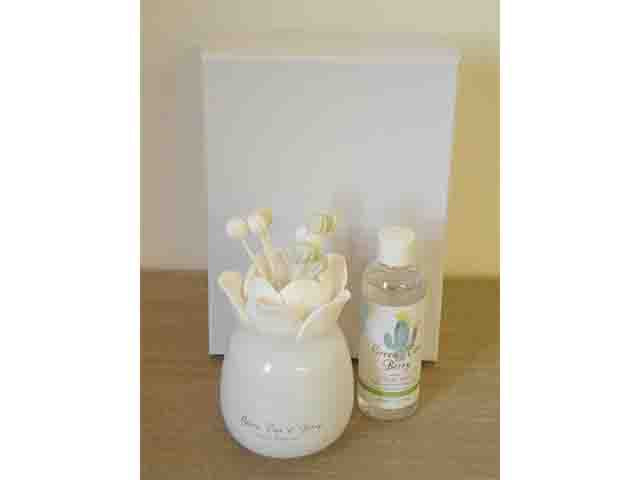 profumatore 100ml the verde con stick qlux19550