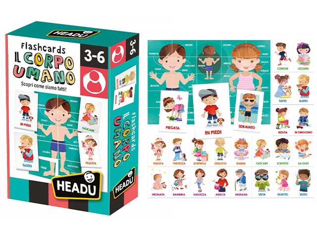 Flashcards il corpo umano it24551