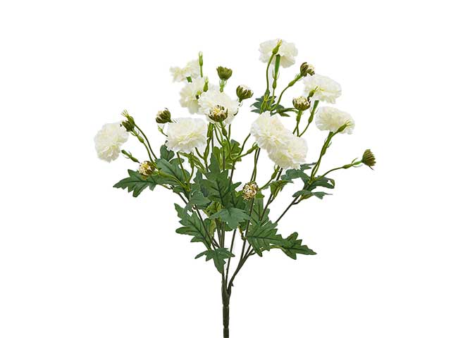 Dalia elis x10 h48 crema 215363,12