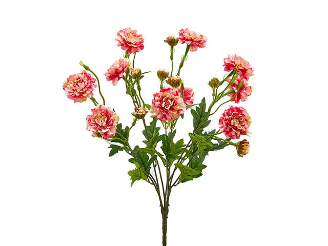 dalia elis x10 h48 rosa 215363,54