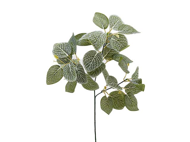 Ramo coleus elis h60 verde 232626,72