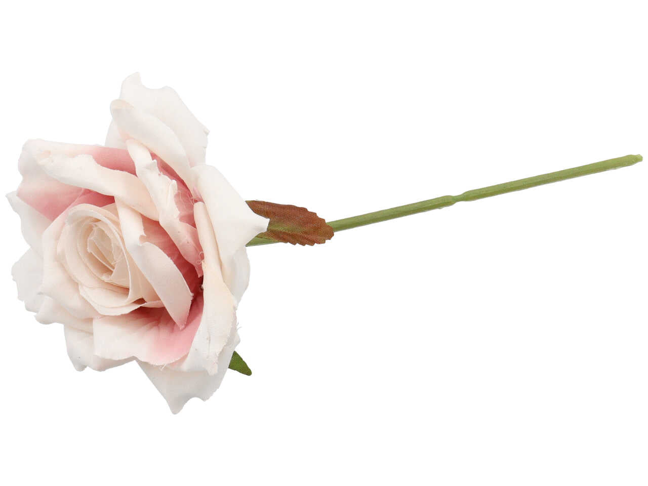 Rosa rampicante rosa 6 pezzi ck9054 old
