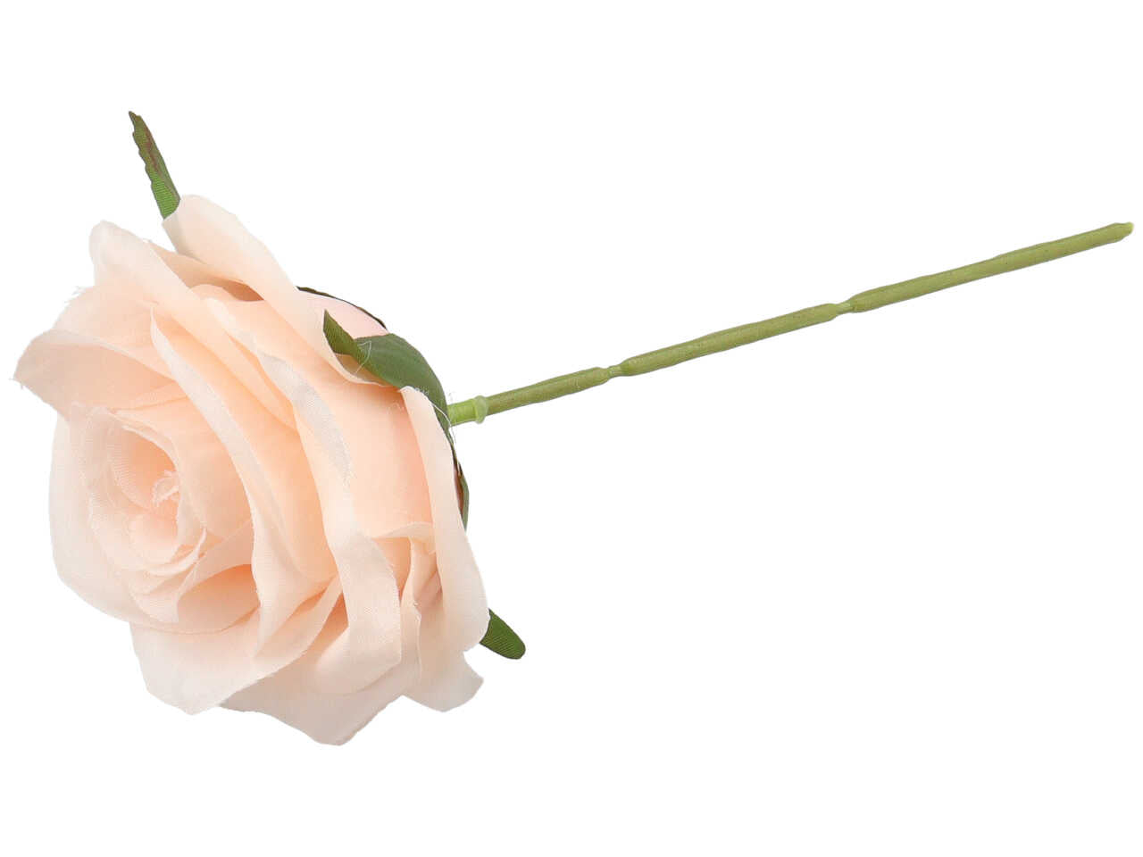 Rosa cipria 6 pezzi ck9056 cp