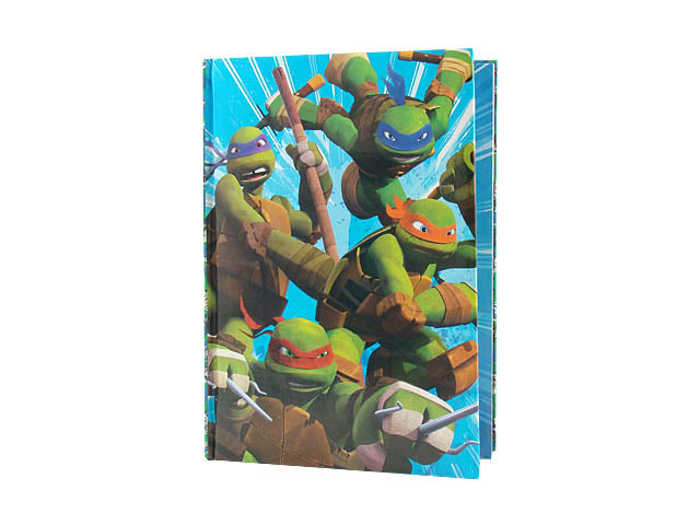 Turtles diario bg39