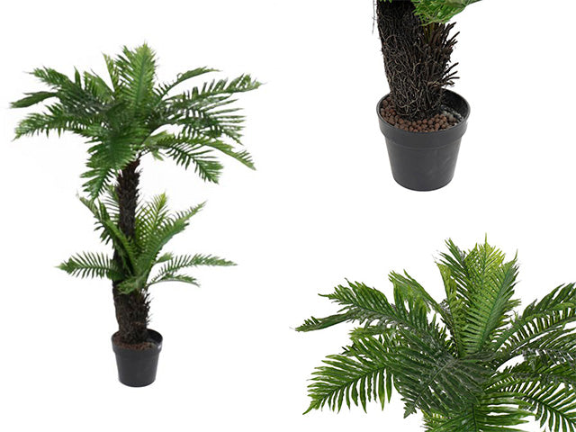 pianta palma 80x120 a-165009